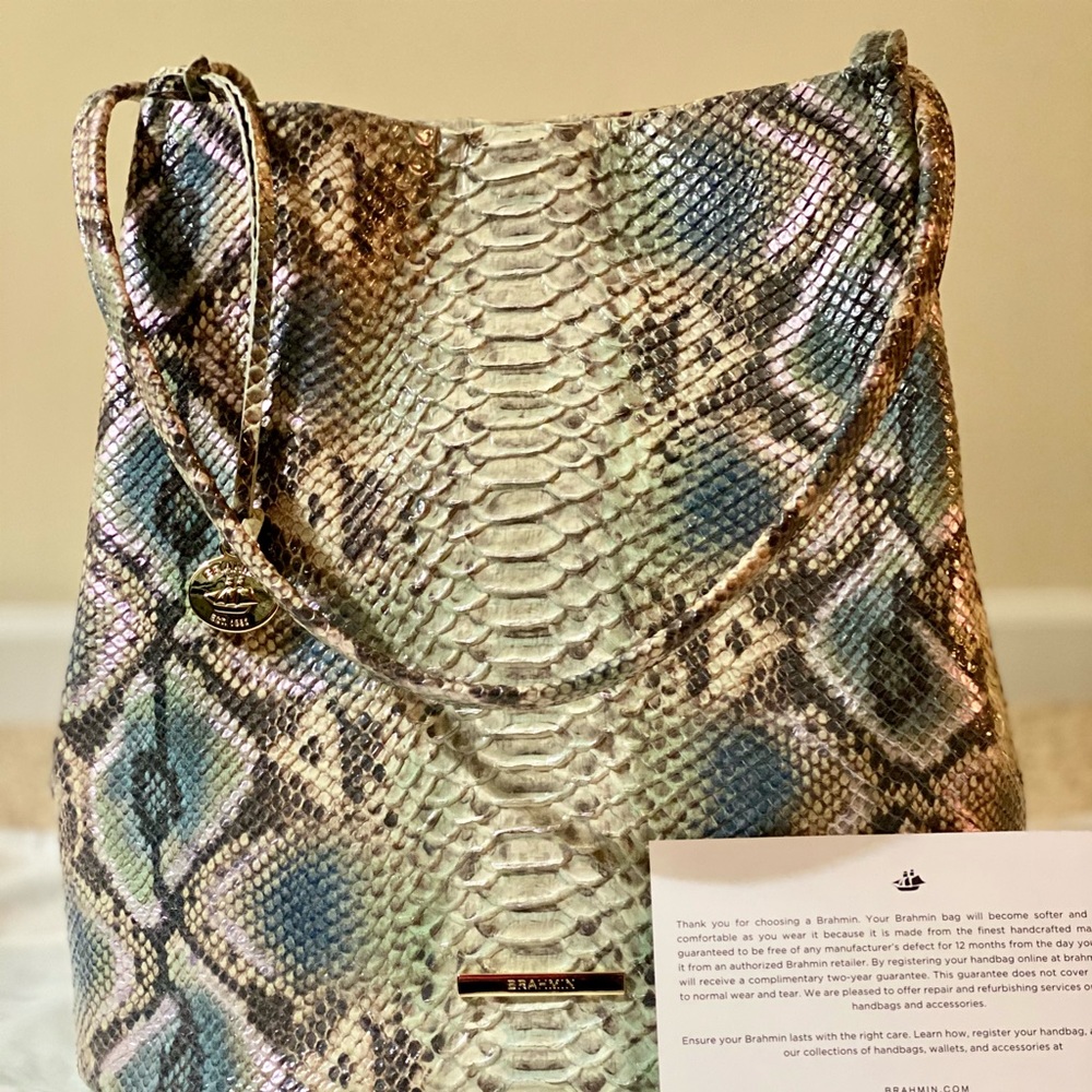 Brahmin Molly